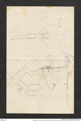 Nachlass Franz Steindachner, Brief von William Kitchen Parker an Franz Steindachner (20.07.1929), Inv.Nr. 383.01, Seite 4